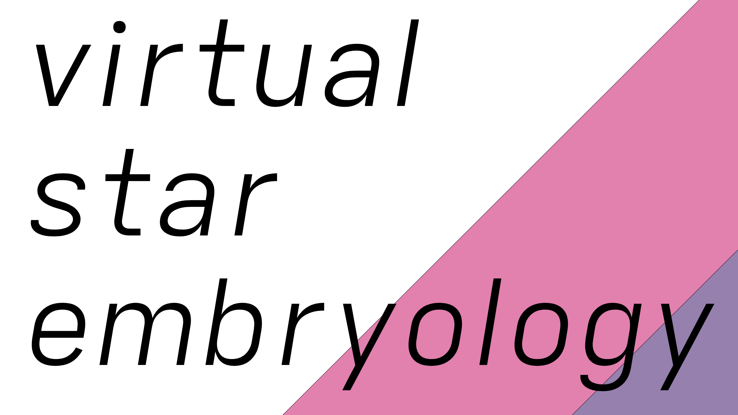 virtual star embryology wide